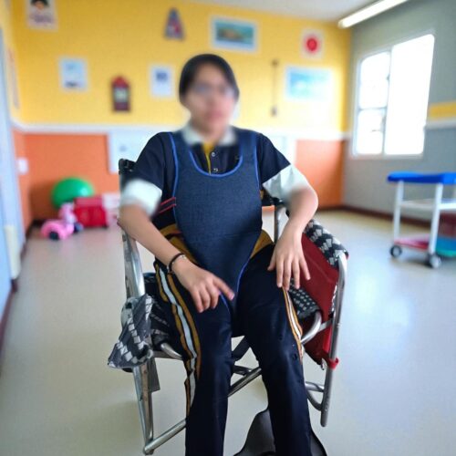 Arnés de Seguridad Tipo Y para Silla de Ruedas – Tallas Infantiles a Adulto